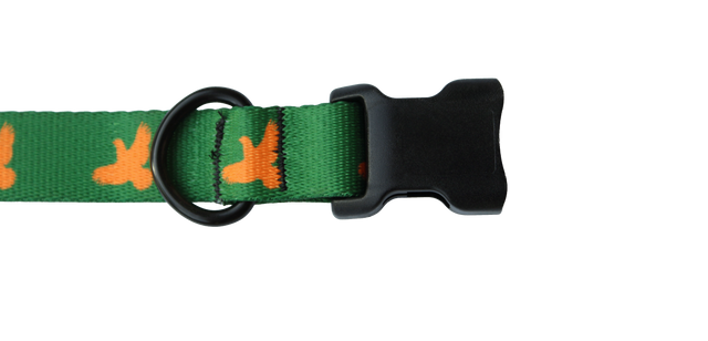 Dog Collar