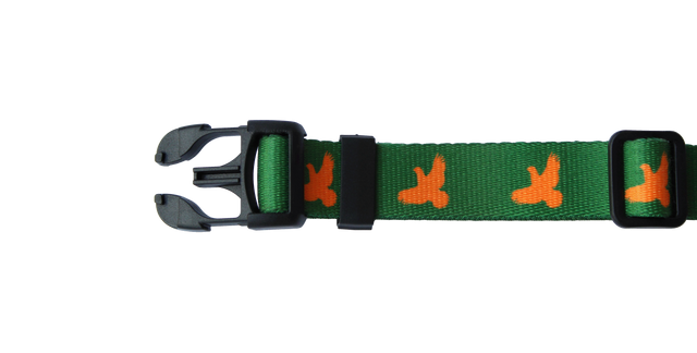 Dog Collar