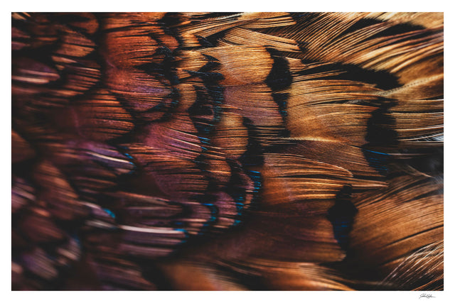 Upland Series #4 by John Hafner