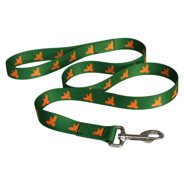 Dog Leash